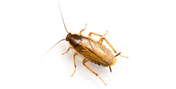 202304191715528.png